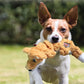 A brown and white dog carrying a KONG Scrunch Knot Fox through a field.