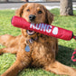 Dog holding a Signature Stick, laying in a grassy outdoor setting.