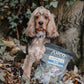 Dog sitting beside a bag of Anco Naturals dog food in a forest.