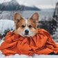 Lifestyle image of a corgi in an outdoor environment, sat in the snow.