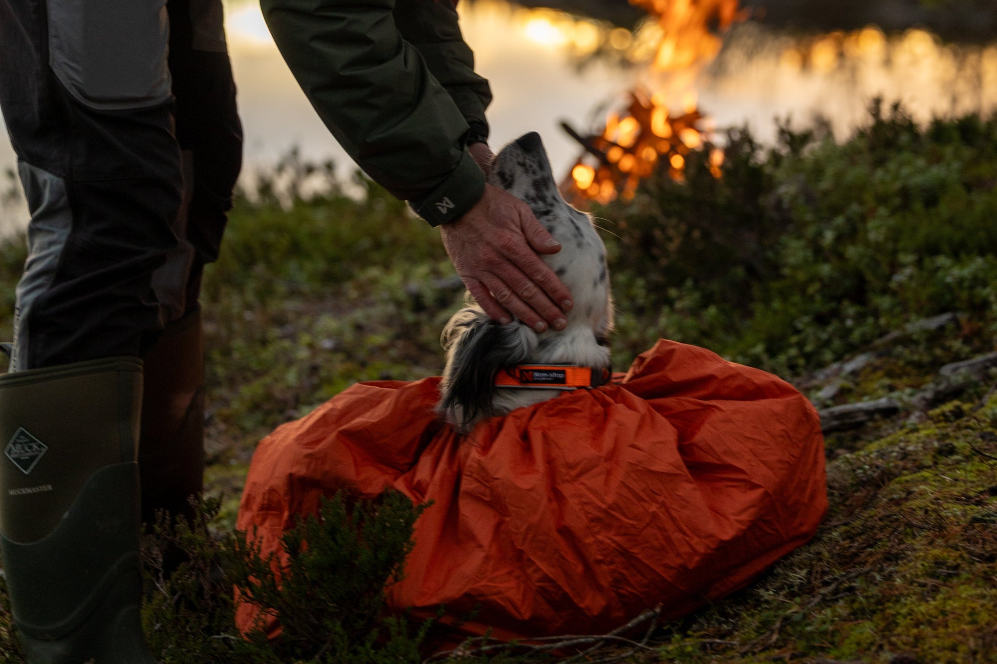 Lifestyle image of a dog in the Bivvy Bag, in an outdoor environment, being petted by a person.