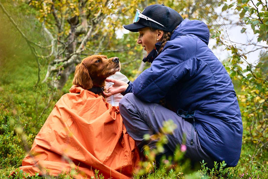 Lifestyle image of a dog in an outdoor environment.