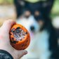 Hand holding a Dog Throw Toy with a dog in the background.