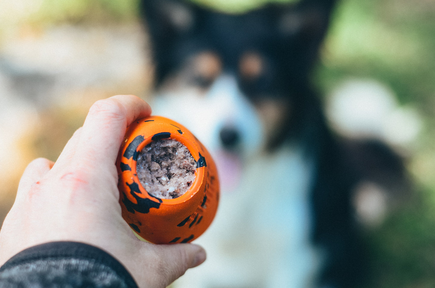 Hand holding a Dog Throw Toy with a dog in the background.
