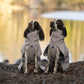 Lifestyle image of the Drying Robe, in the sand colour, on 2 brown and white spaniels.