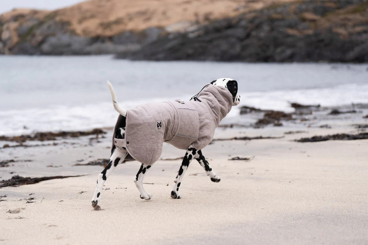 Lifestyle image of the Drying Robe, showing a dalmatian trotting along a beach.