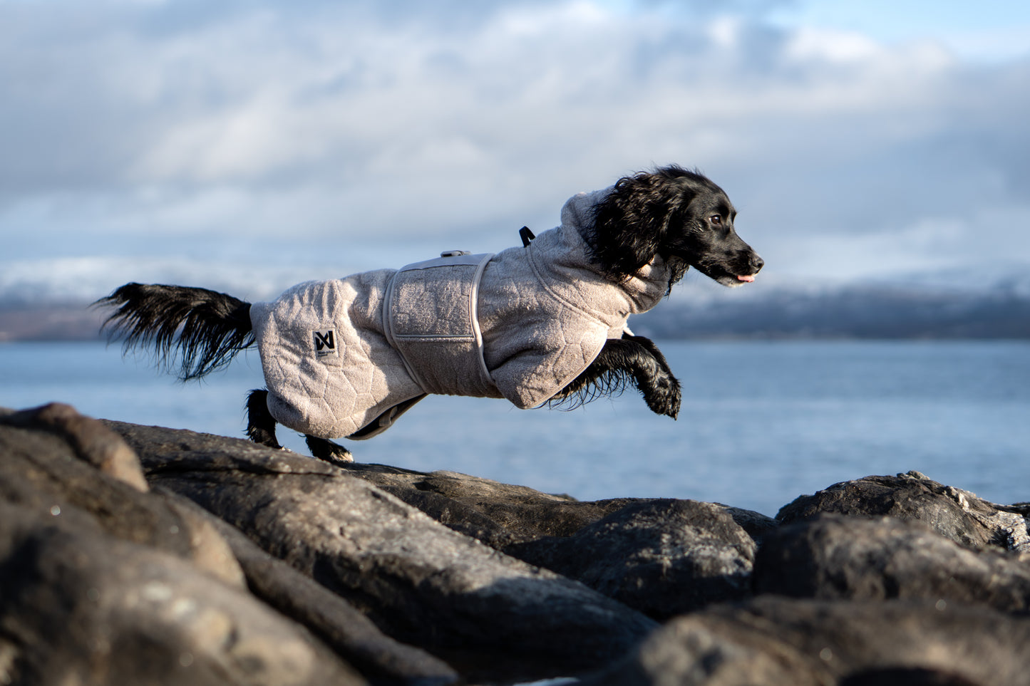 Lifestyle image of the Drying Robe, worn by a black dog running over a rock.