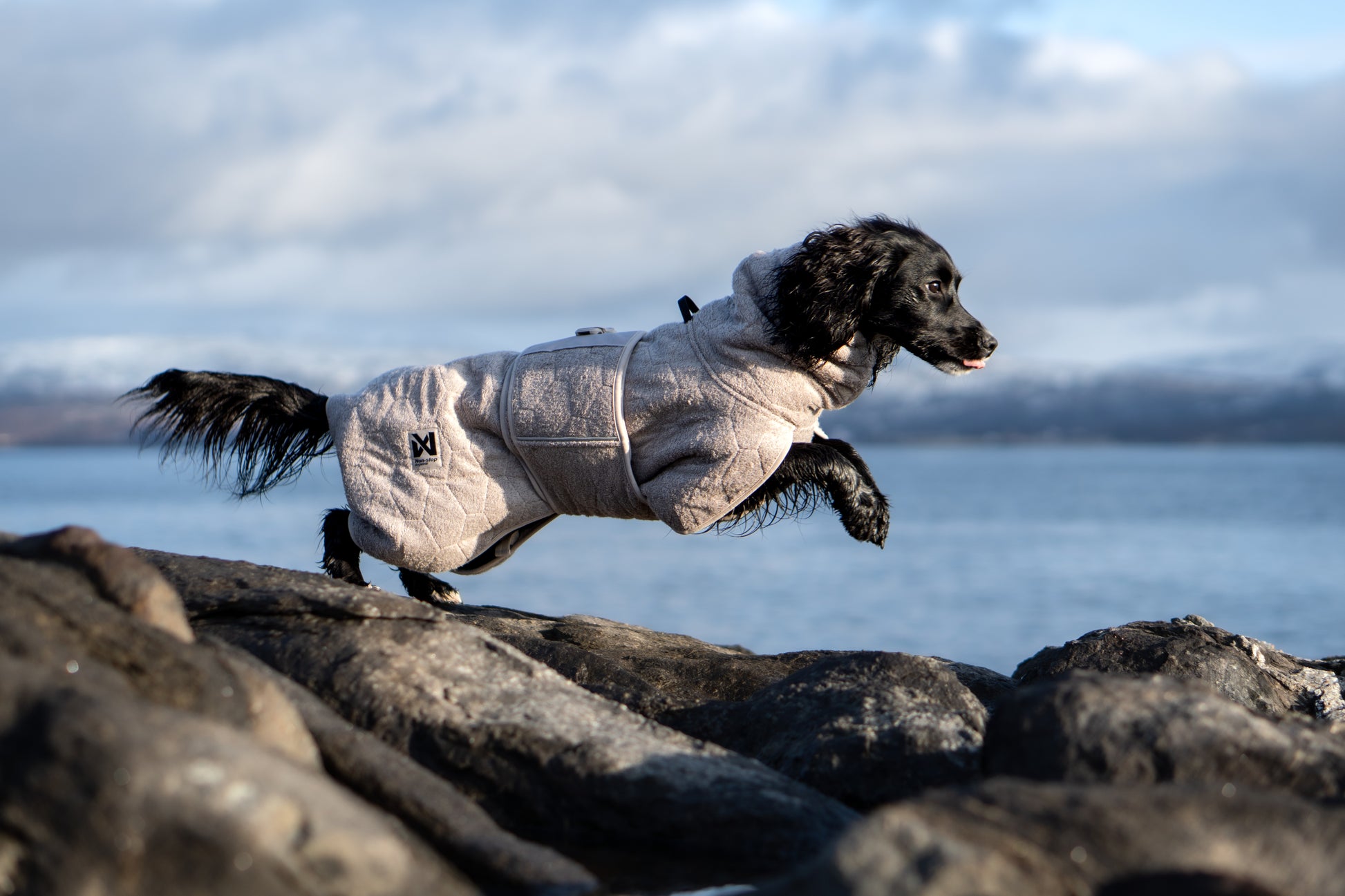 Lifestyle image of the Drying Robe, worn by a black dog running over a rock.