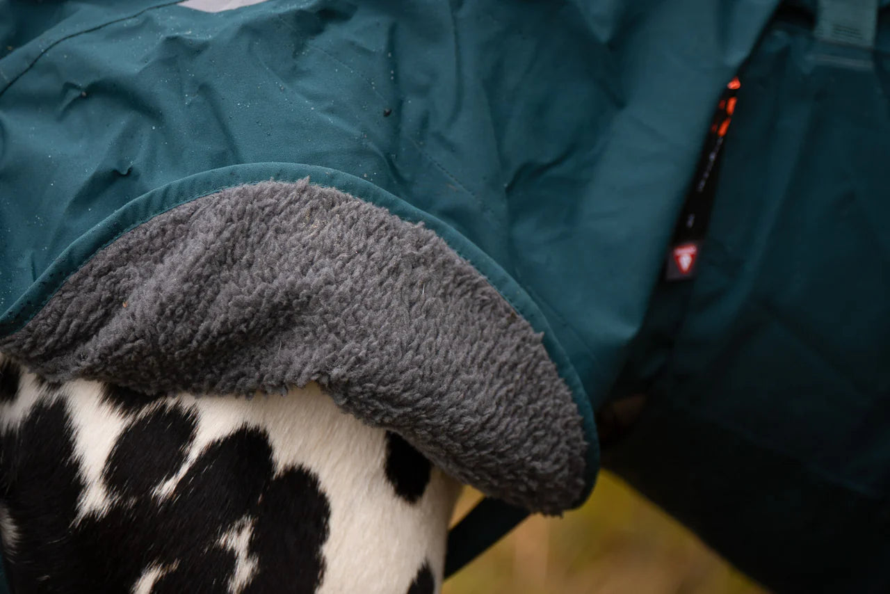 Lifestyle image of the Fjord Lined Jacket, showing the fur lining on a dalmatian.