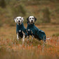Two dalmatians looking at the camera, wearing the Fjord Lined Jackets.