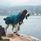 Lifestyle image of the Fjord Lined Jacket, with a spaniel walking along a shore.