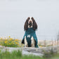 Lifestyle image of the Fjord Lined Jacket, with a wet spaniel looking at the camera, sat amongst yellow flowers.