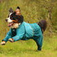 Lifestyle image of the Teal Fjord Overall, with a dog running through a grassy environment.