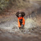 Lifestyle image of the Orange Fjord Overall, with a brown dog charging through a wet, muddy trail.