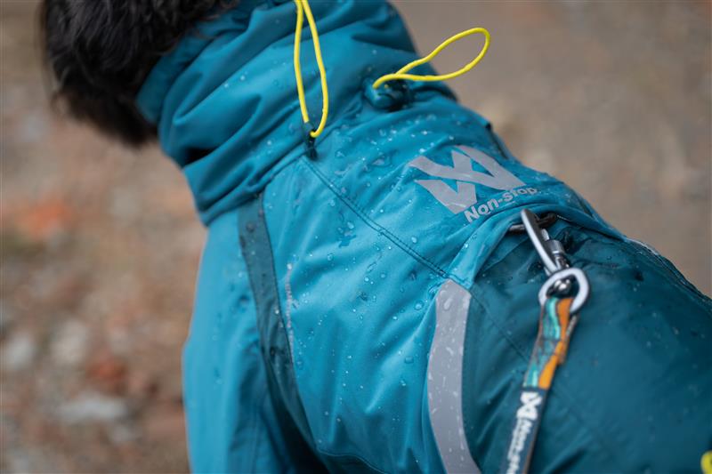 Lifestyle image of the Teal Fjord Overall, showing a lead feeding through the opening on the coat and attaching to a harness.