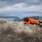 Lifestyle image of the Orange Fjord Overall, with a brown dog running through a hilly, grassy environment.