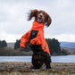 Lifestyle image of the Orange Fjord Overall, with a brown dog raised on their hind legs with their tongue out. River and trees in the background.