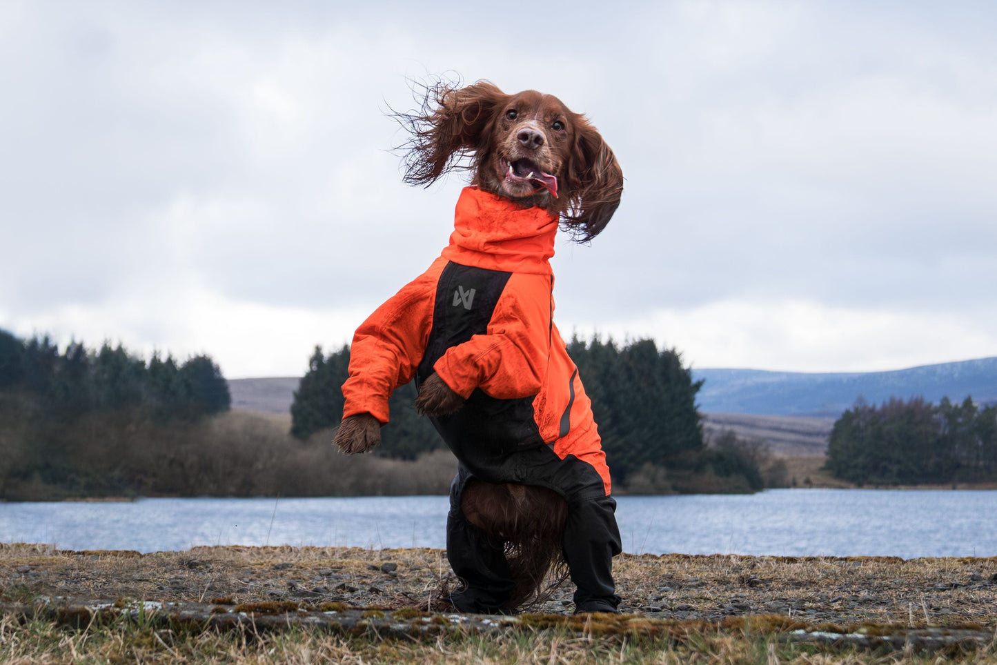 Lifestyle image of the Orange Fjord Overall, with a brown dog raised on their hind legs with their tongue out. River and trees in the background.
