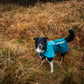 Lifestyle image of the Teal Fjord Jacket 2.0 worn by a black and white dog.