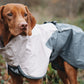 Lifestyle image of the Fjord Jacket 2.0 worn by a dog, in a grassy background.