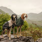 Lifestyle image of the Fjord Jacket 2.0 worn by 2 wet dogs, with a hilly background.