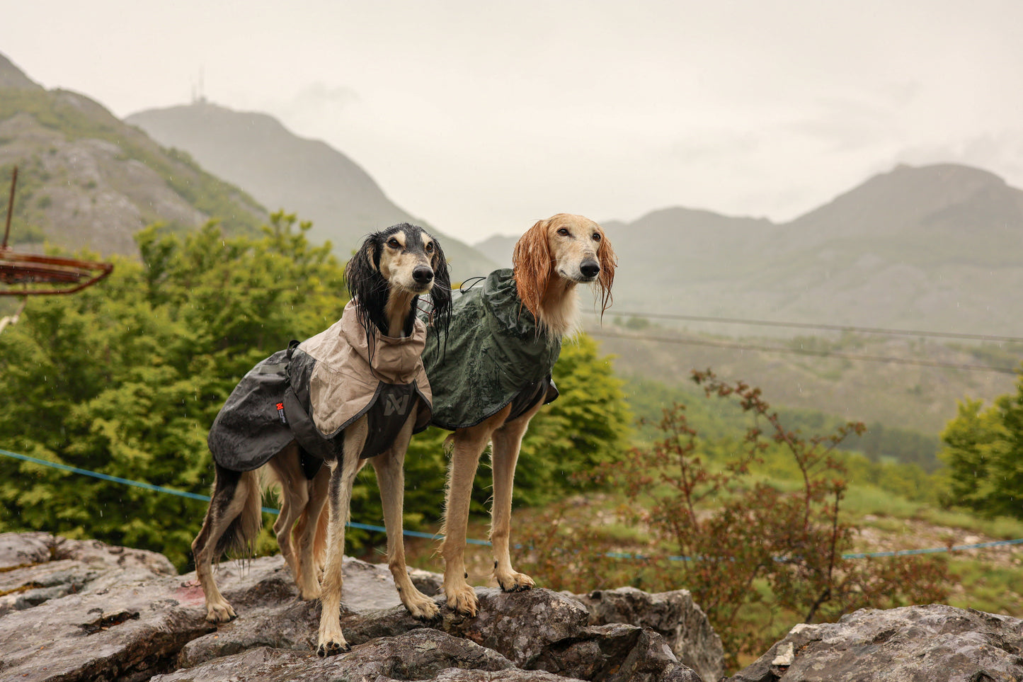 Lifestyle image of the Fjord Jacket 2.0 worn by 2 wet dogs, with a hilly background.