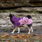 Lifestyle image of the Fjord Jacket 2.0 worn by a dog in a rocky environment.
