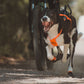 Lifestyle image of a dog running alongside a bike, with their tongue out, wearing the Freemotion Harness v5.