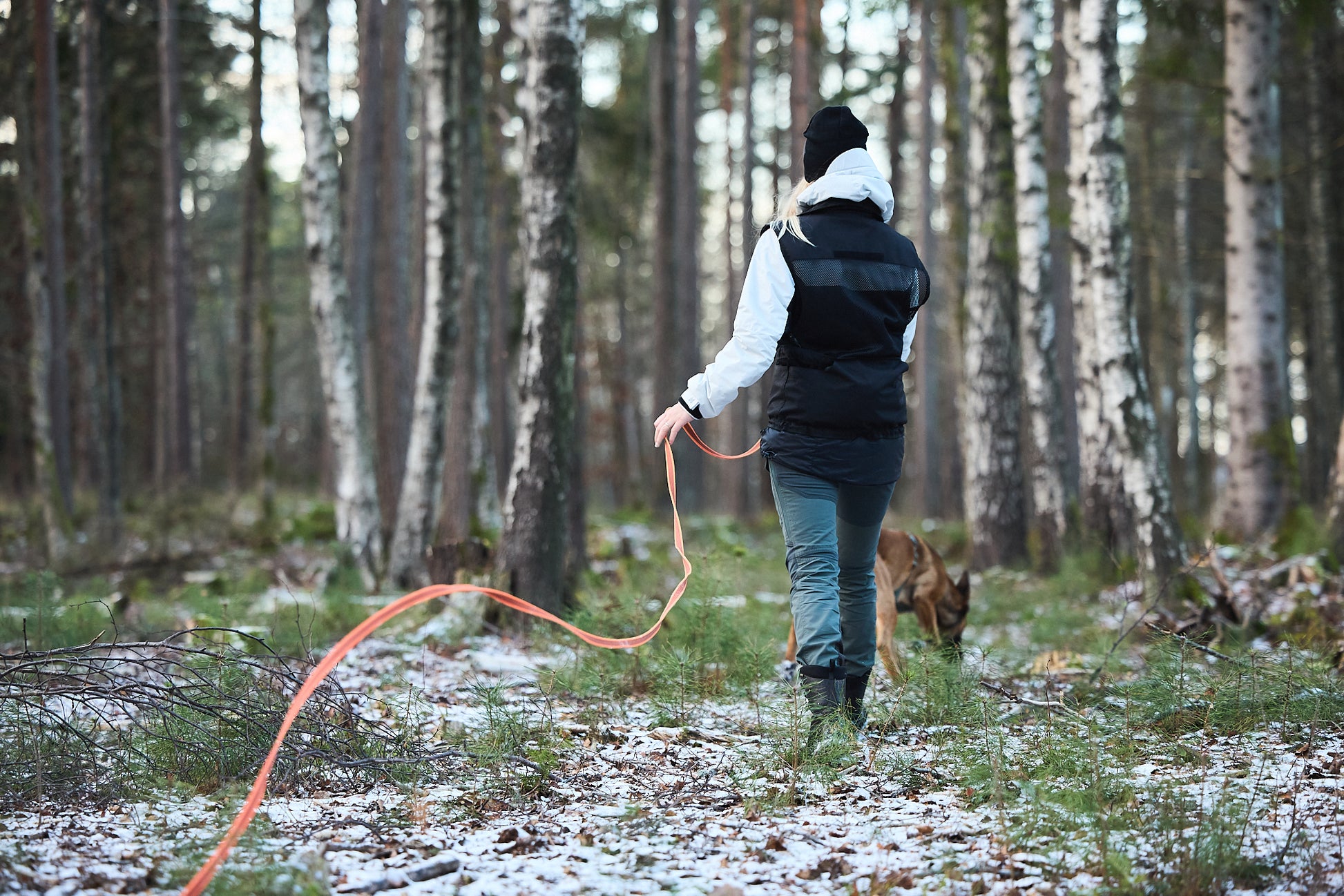 Lifestyle image of the Friction Long Line, with a lady holding the length and a dog ahead of her, in a woodland environment.