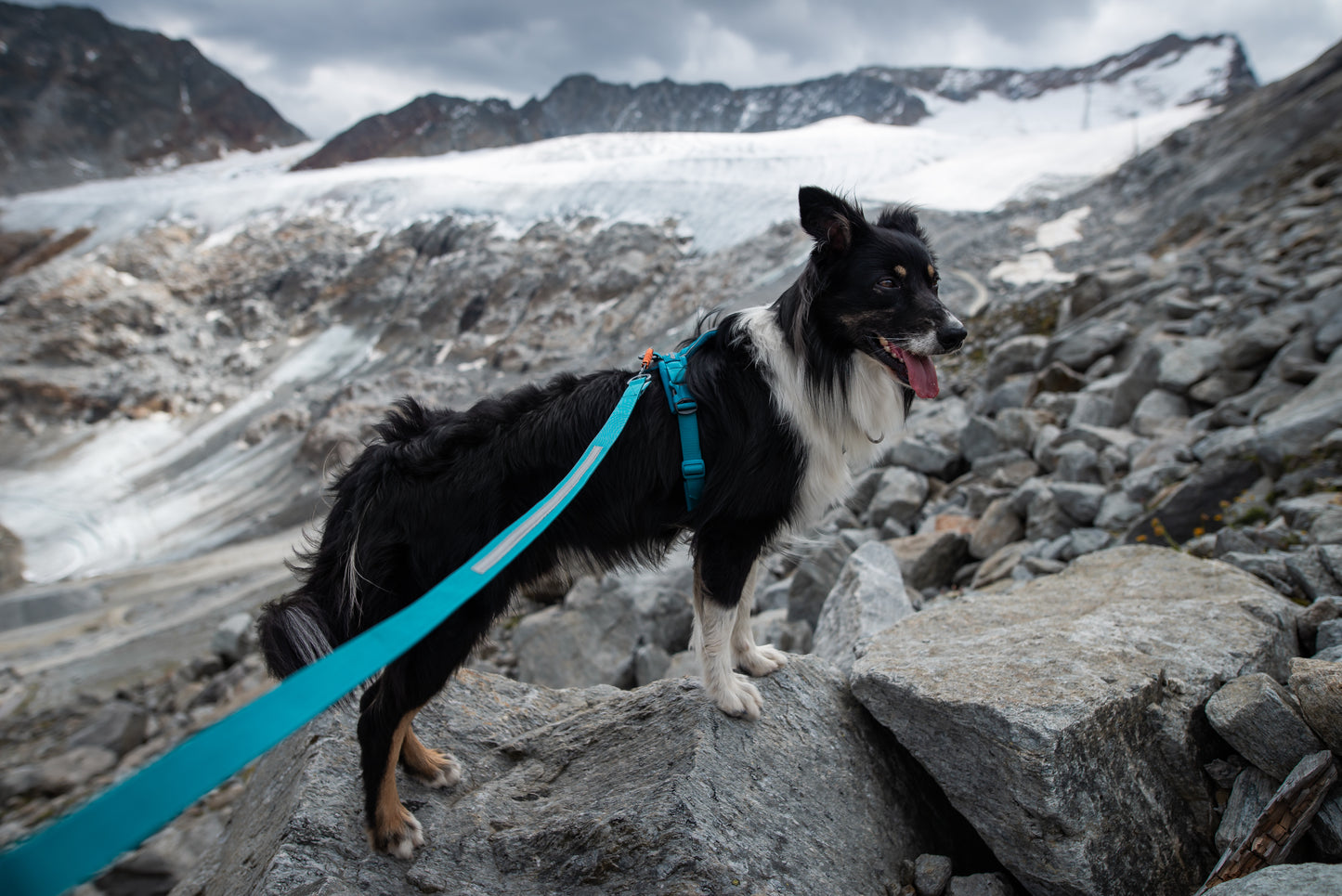 Lifestyle image of the Line Harness v5, on a mountainous, snowy background.