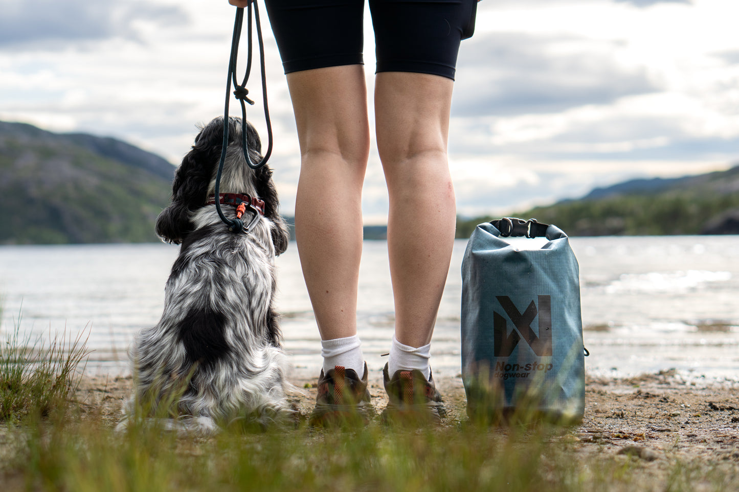 Dog sitting beside their owner and a Multiuse Bag, looking into the horizon.