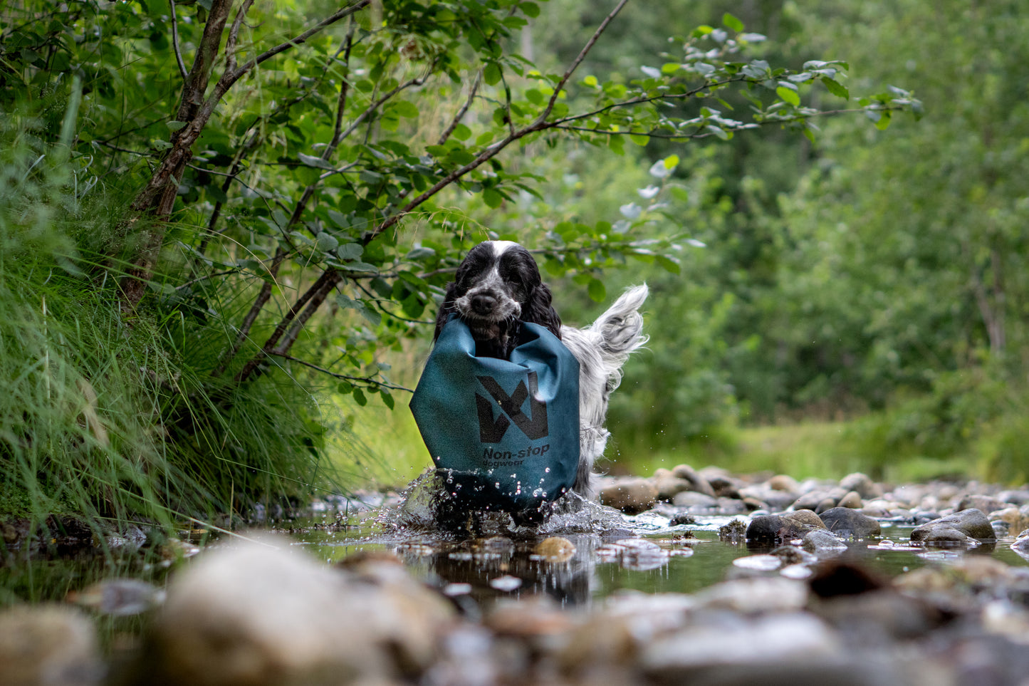 A dog carrying the Multiuse Bag through the river.