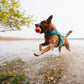Lifestyle image of the Protector Life Jacket, showing a dog jumping through a river while holding a toy.