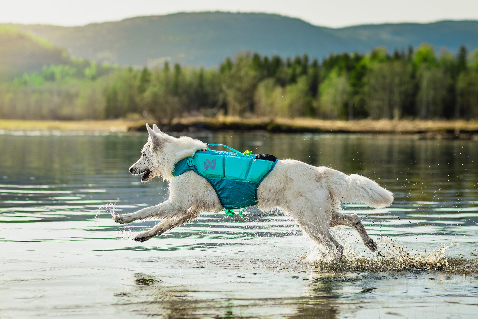 Lifestyle image of the Protector Life Jacket, showing a white dog running through a muddy body of water.