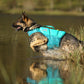 Lifestyle image of the Protector Life Jacket, showing a dog bounding through some muddy water and reeds.