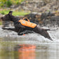 Lifestyle image of the Protector Life Jacket, showing a brown dog bounding through water in front of a rocky background.