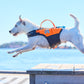Lifestyle image of the Protector Life Jacket, showing a white dog running across a seafront.