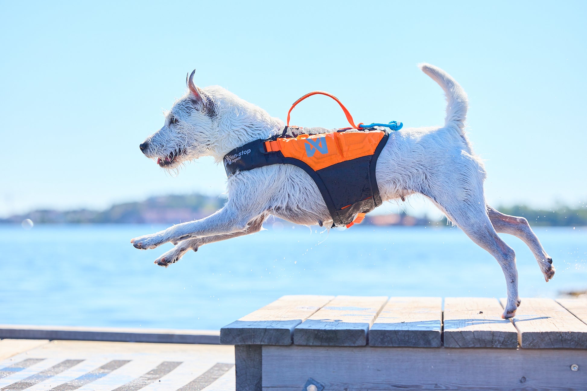 Lifestyle image of the Protector Life Jacket, showing a white dog running across a seafront.
