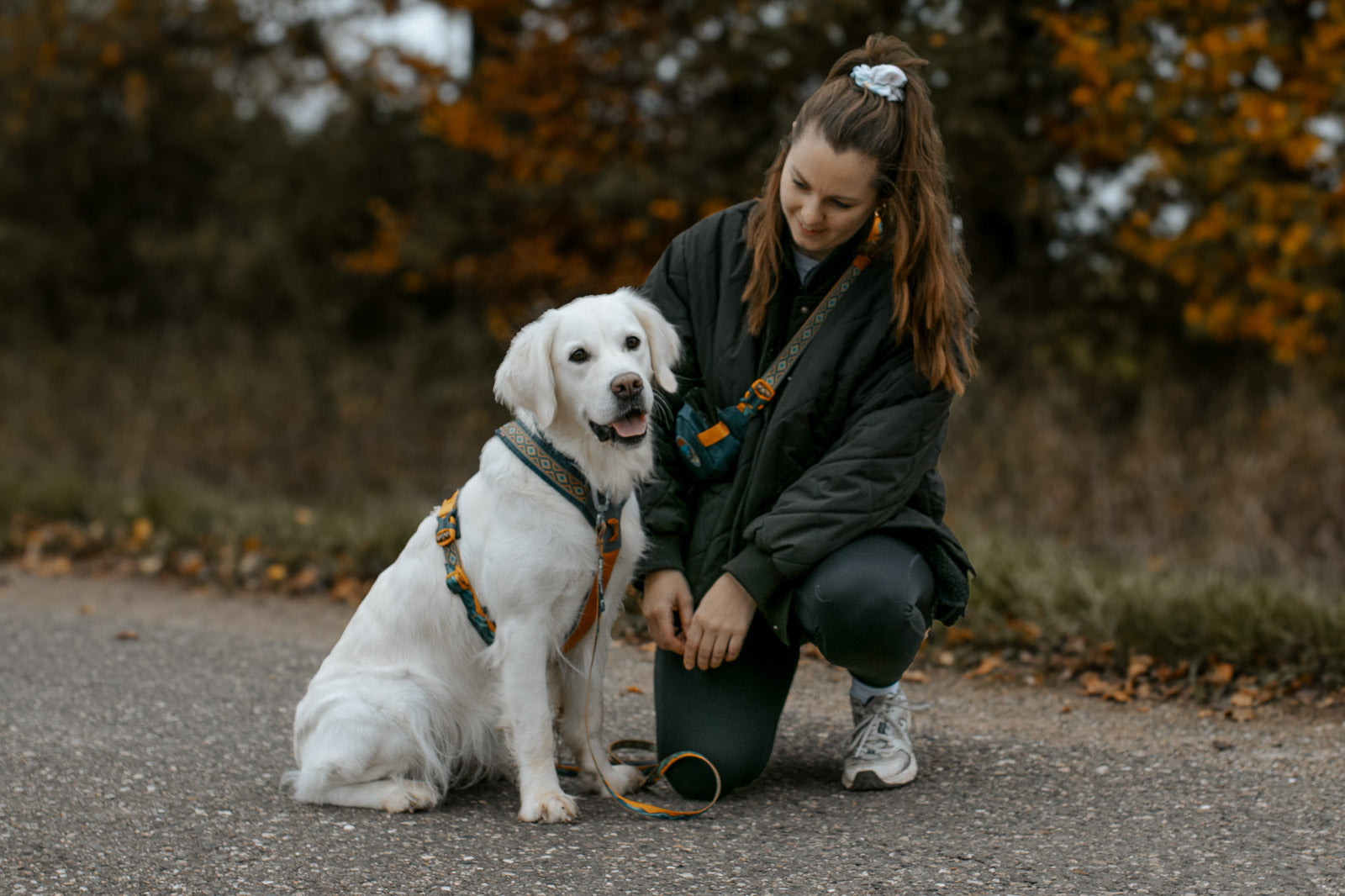 Lifestyle image of the Rachel Pohl Harness, worn by a white dog while a lady kneels beside them.