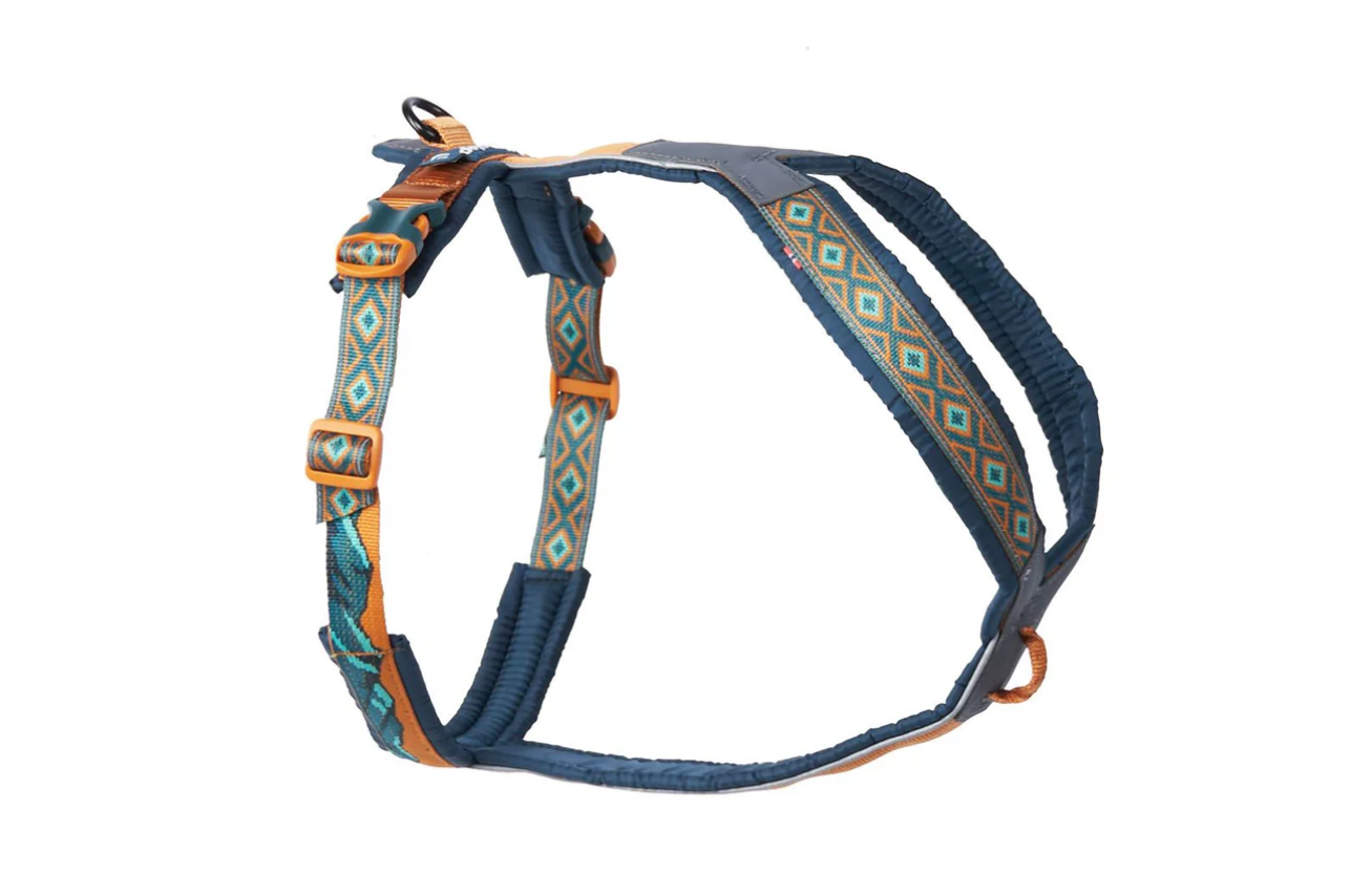 Stock image of the Rachel Pohl Harness, in teal and oak with mountain details, against a white background.