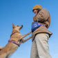 Lifestyle image of the Rachel Pohl Trail Quest Storage Pack, with a lady wearing the pack and their dog on their hind legs, with their paws resting against her, against a blue sky background.