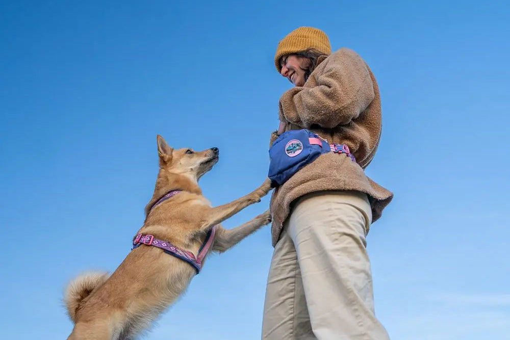 Lifestyle image of the Rachel Pohl Trail Quest Storage Pack, with a lady wearing the pack and their dog on their hind legs, with their paws resting against her, against a blue sky background.