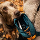 Lifestyle image of the Rachel Pohl Trail Quest Storage Pack, showing the interior of the bag with treats inside, and a dog waiting for treats, against a leafy background.