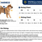 Sizing guidance for the Ramble Dog Harness Long.