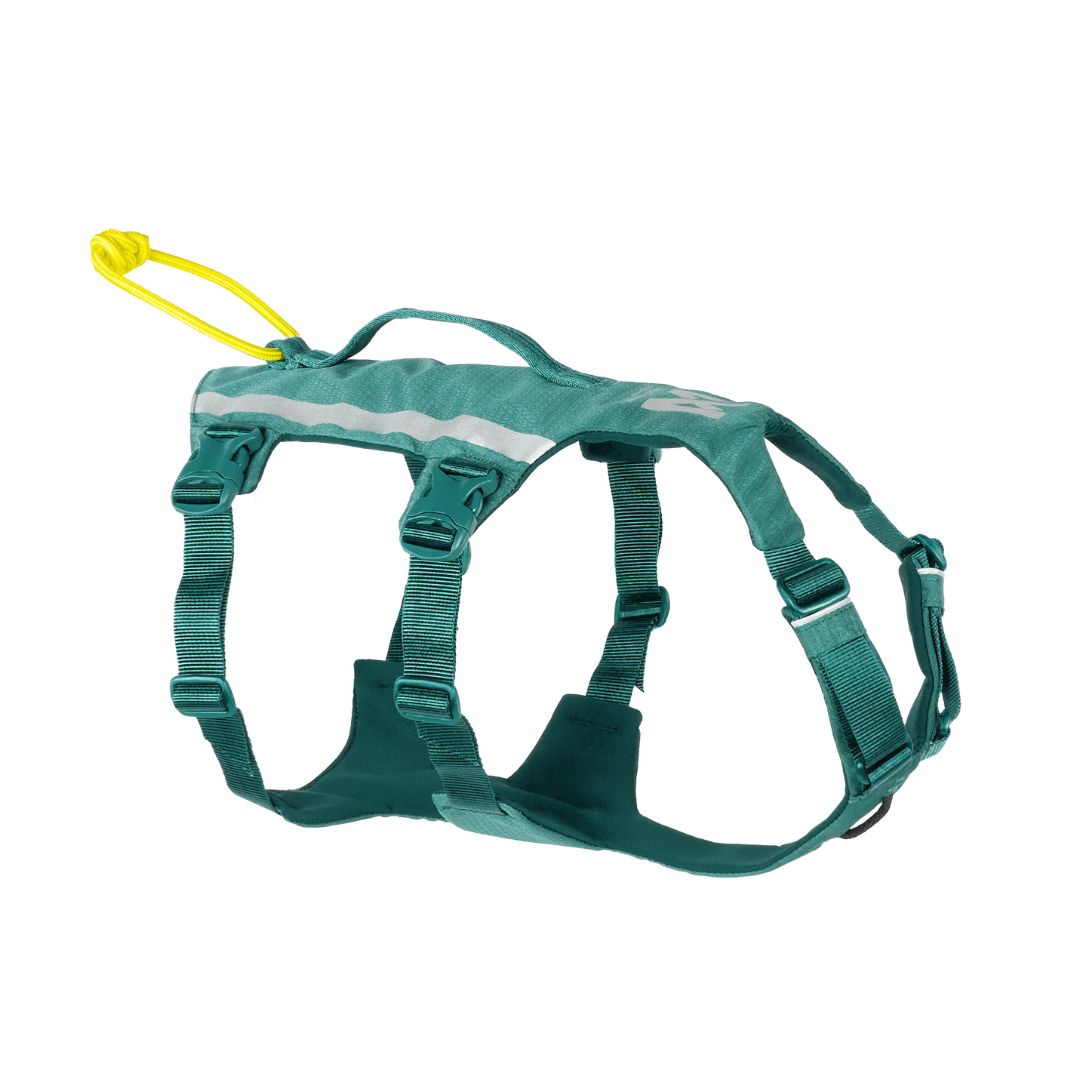 A teal Ramble Dog Harness Long with adjustable straps and a yellow handle.