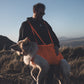 Lifestyle image of the Dog Rescue Sling in action, being carried across a grassy field. A cream dog is in the Rescue Sling, while a man wearing sunglasses holds onto the Rescue Sling.