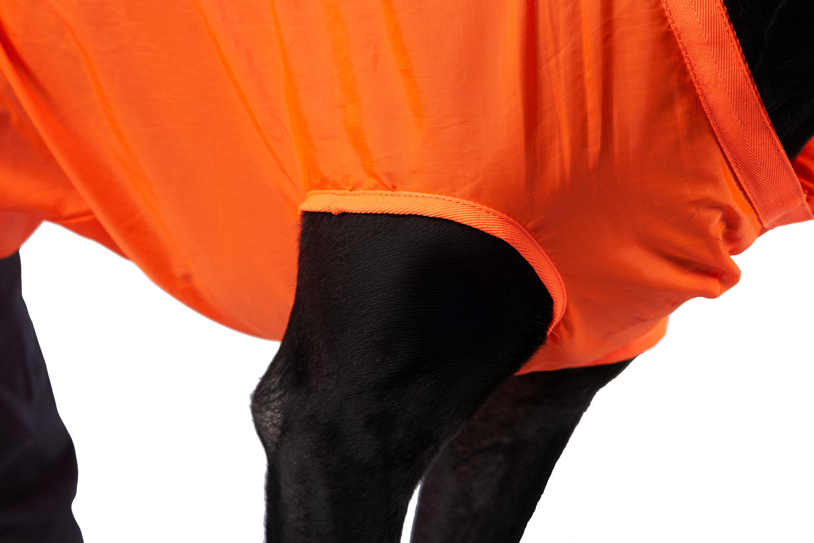 Stock image of the Dog Rescue Sling, showing the arm holes of the Rescue Sling.