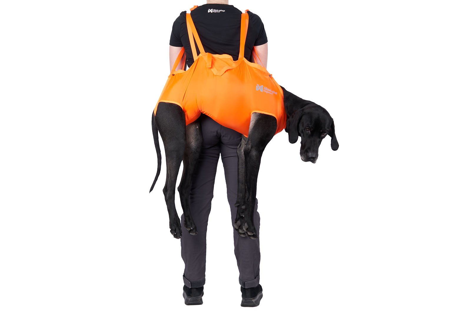 Stock image of someone wearing the Rescue Sling, with an orange colour scheme. A black dog is in the sling, being worn on the back of the person.