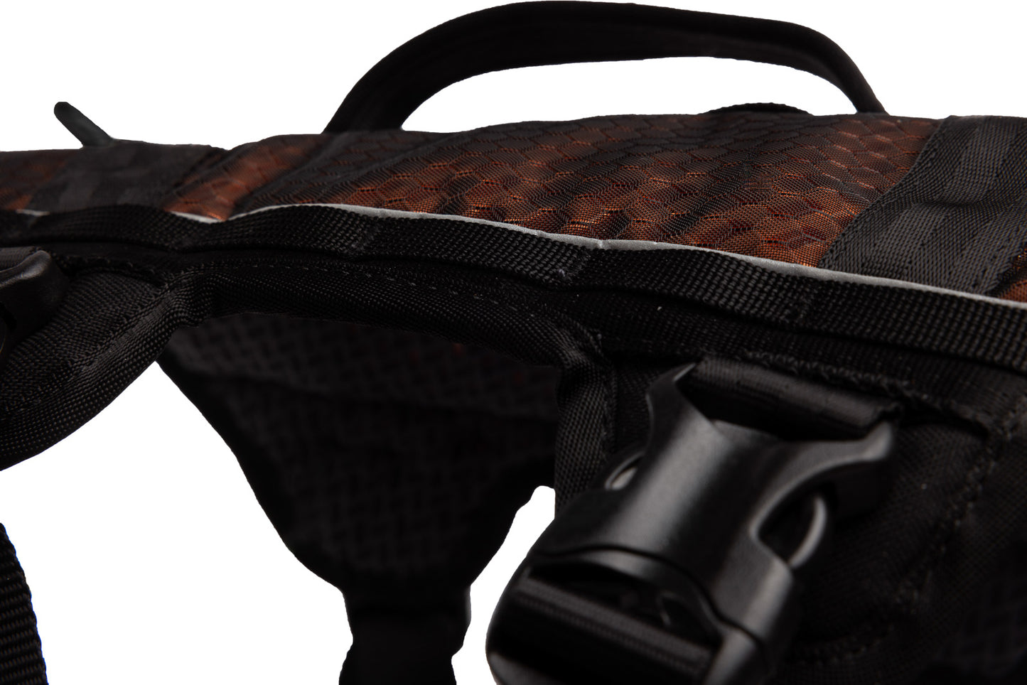 Stock image of the Rock Harness Long, showing an up close shot of the buckle.