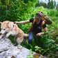 Lifestyle image of the Rock Harness Long, worn by a husky as they climb up some rocky terrain. Their owner holds the handle to support them up.